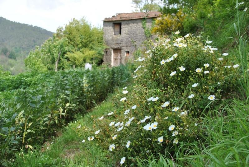 Il Ghiro B&B Riccò del Golfo di Spezia Esterno foto