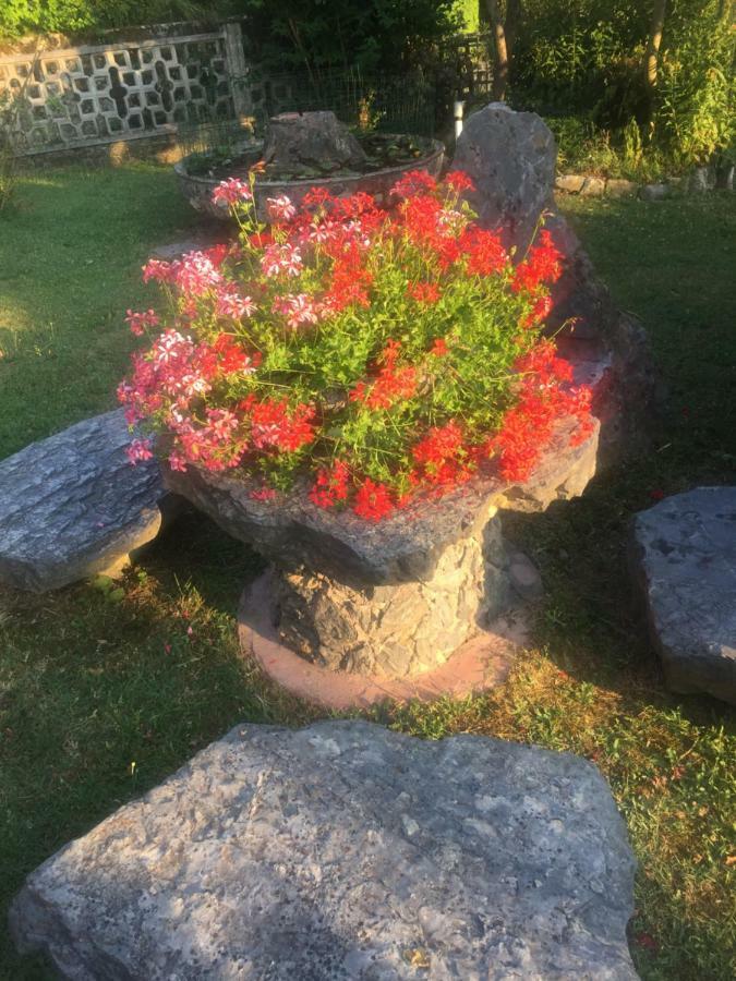 Il Ghiro B&B Riccò del Golfo di Spezia Esterno foto